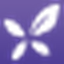 丁香园